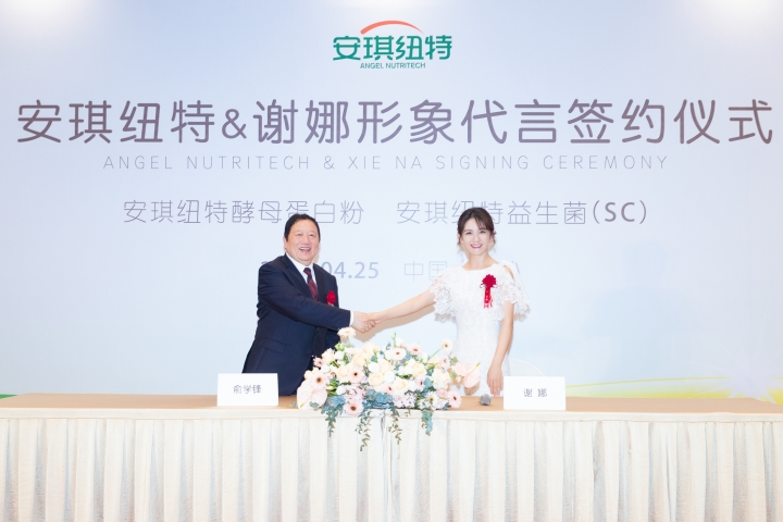 谢娜代言安琪纽特产品