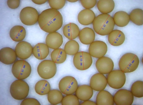 球形酵母1（1