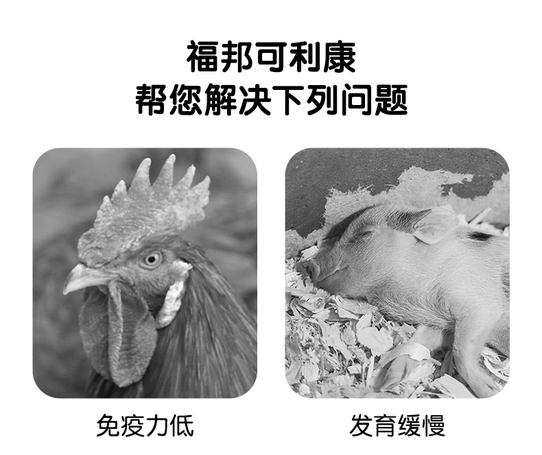 动物营养福邦可利康详情页_09.jpg