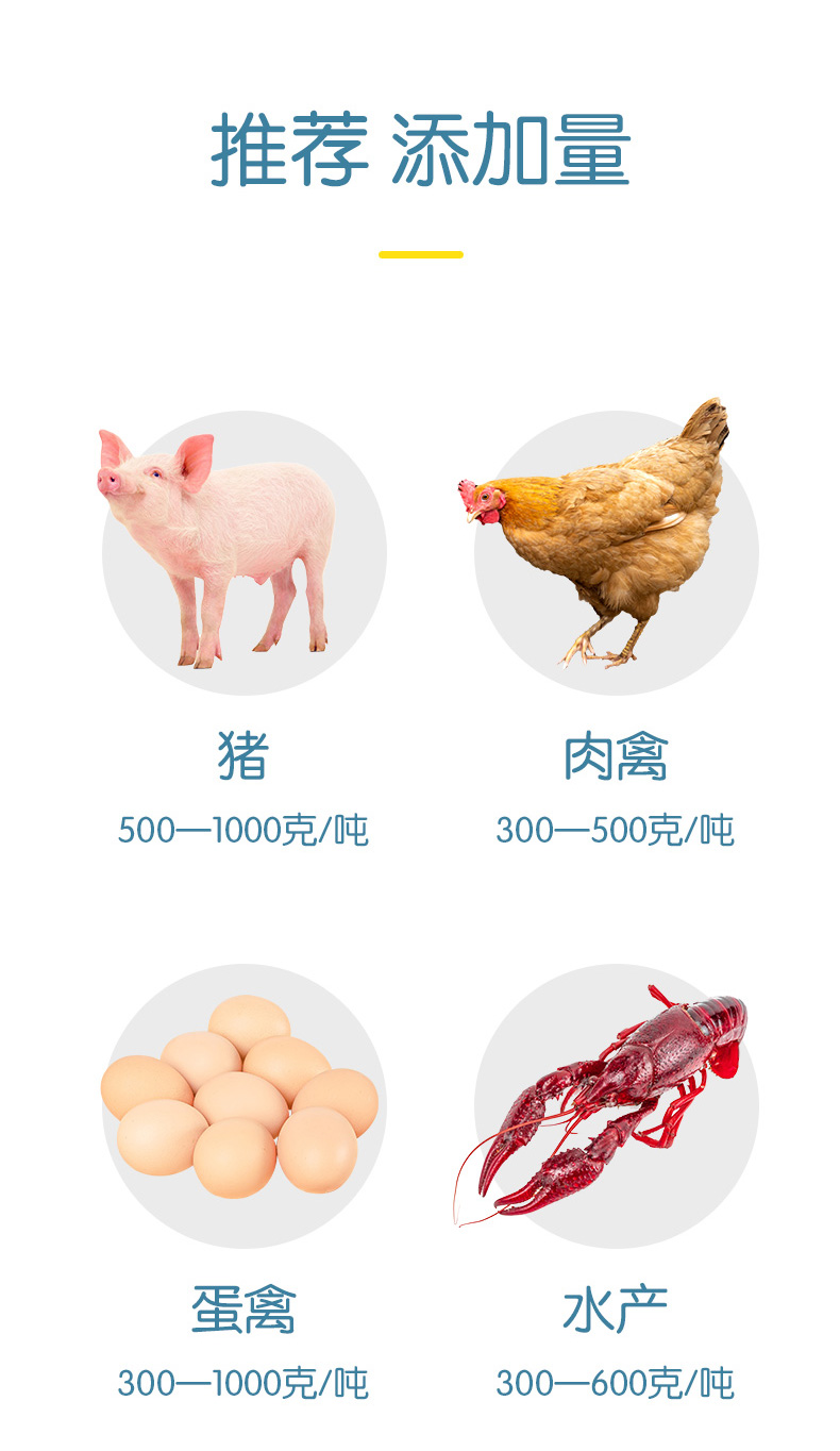 动物营养利百益_12.jpg
