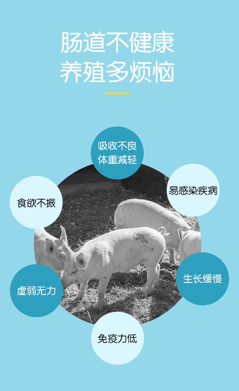 动物营养利百益_03.jpg
