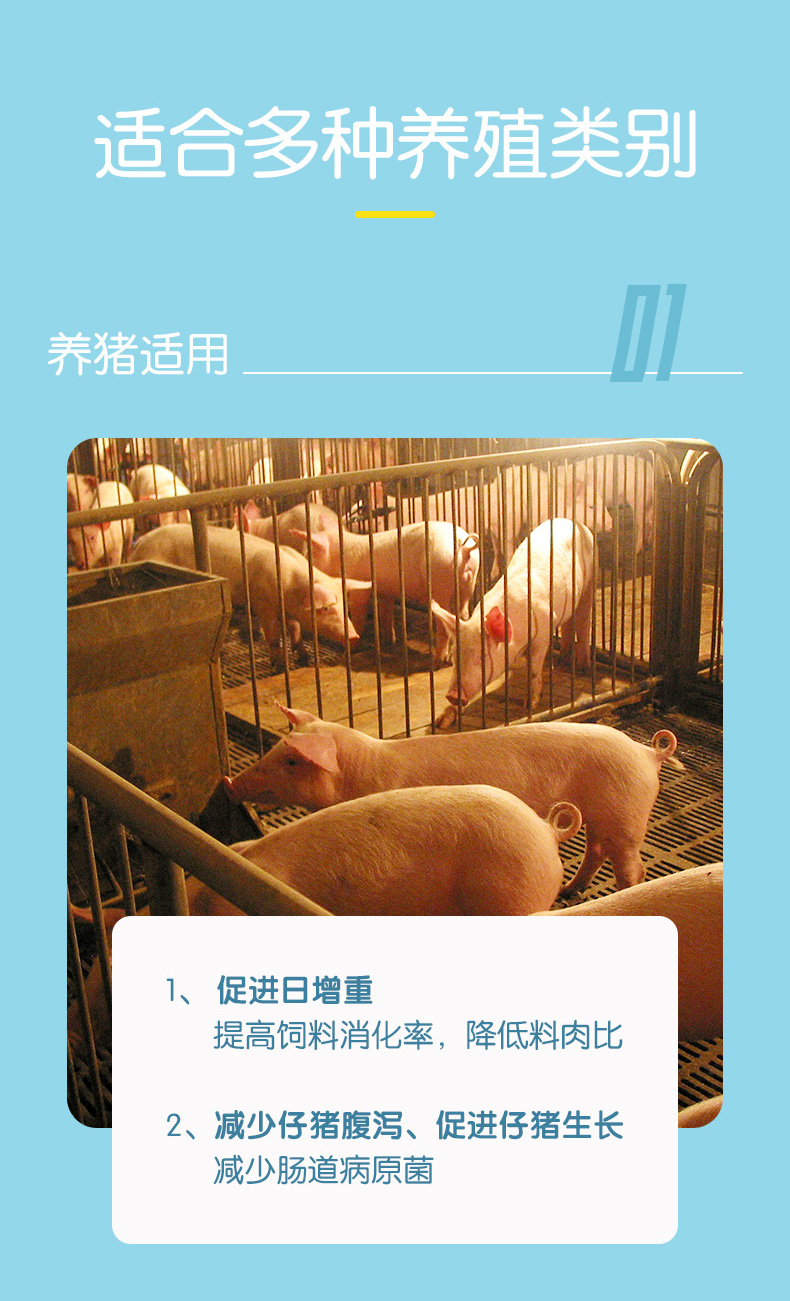 动物营养利百益_07.jpg